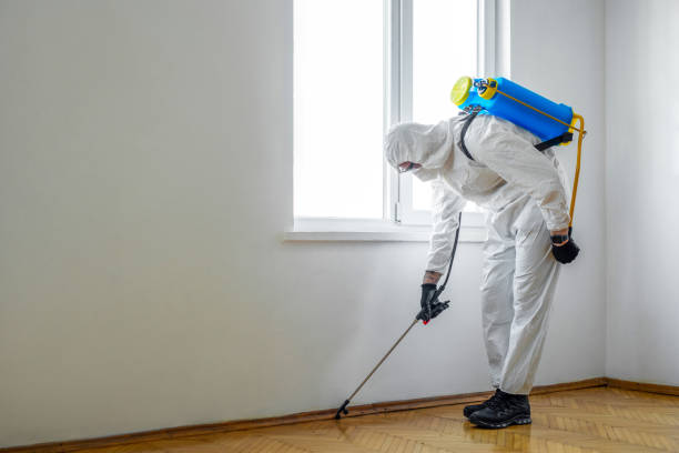 Best Ant Control Services  in Jim Thorpe, PA