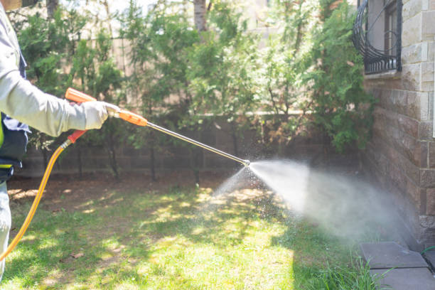 Best Flea Control Services  in Jim Thorpe, PA