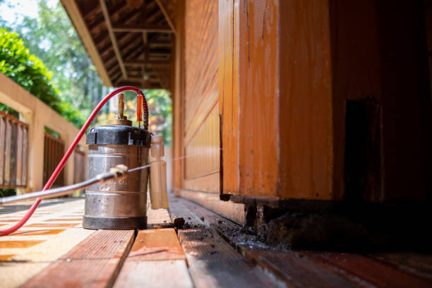 Best Local Pest Control Services  in Jim Thorpe, PA