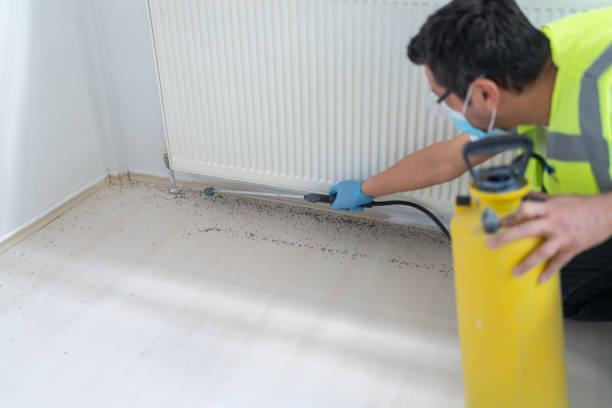 Best Wasp Removal Services  in Jim Thorpe, PA