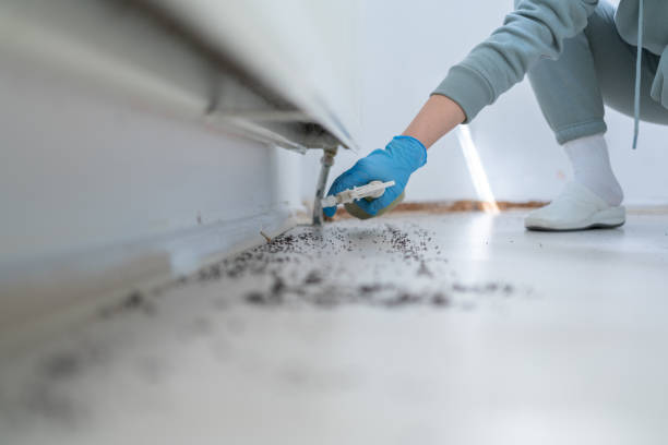 Best Best Pest Control Companies  in Jim Thorpe, PA
