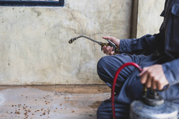 Best Termite Control Services  in Jim Thorpe, PA